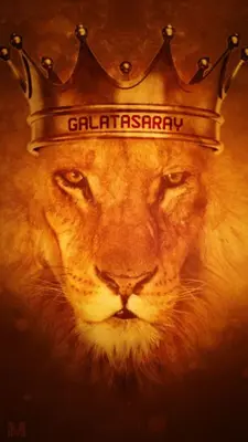 Galatasaray Duvar kağıdı android App screenshot 4