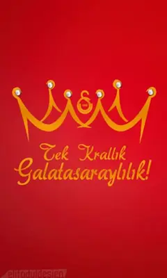 Galatasaray Duvar kağıdı android App screenshot 6